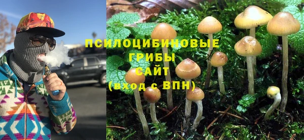 спиды Алексеевка