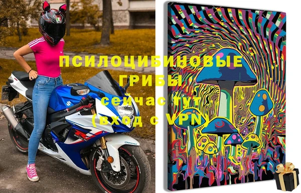 спиды Алексеевка