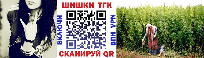 наркошоп  Завитинск  Каннабис ГИДРОПОН 